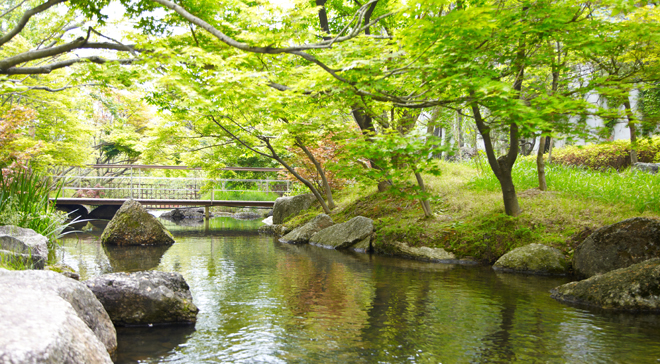 Meet a clear view of ecological stream in Konjiam Resort