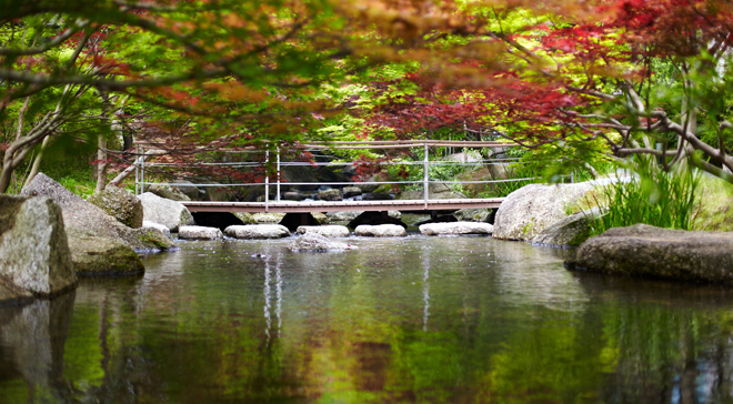 I am going to you through green forest and stepping stones on trail 