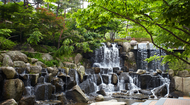 have a delightful teatime and feel the spring on the terrace in Hwa Dam Botanic Garden