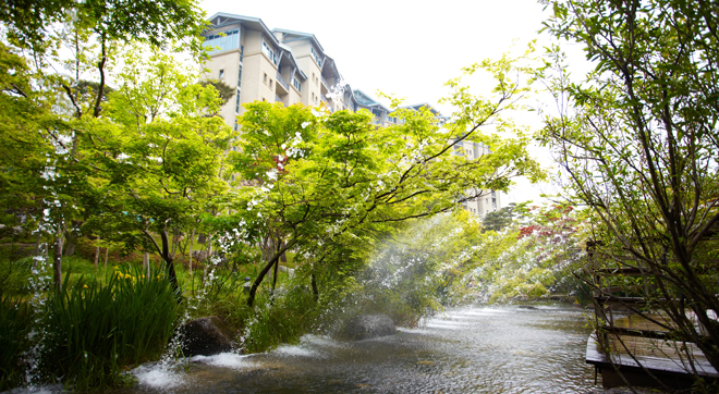 Meet the clear view of nature, Ecological Stream of Konjiam Resort