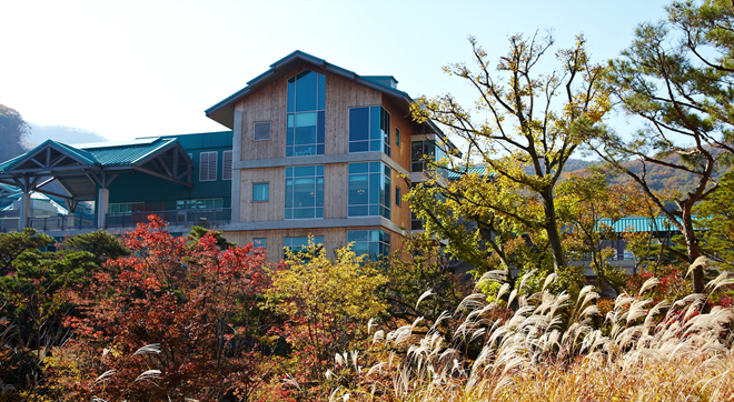 Field of reeds, autumn colors…. And Konjiam Resort