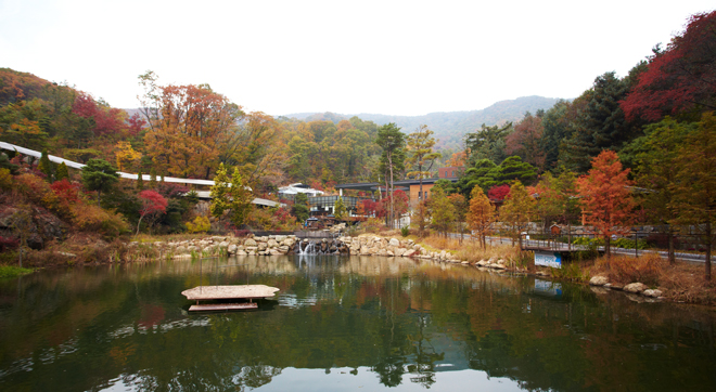 have a delightful teatime and feel the spring on the terrace in Hwa Dam Botanic Garden