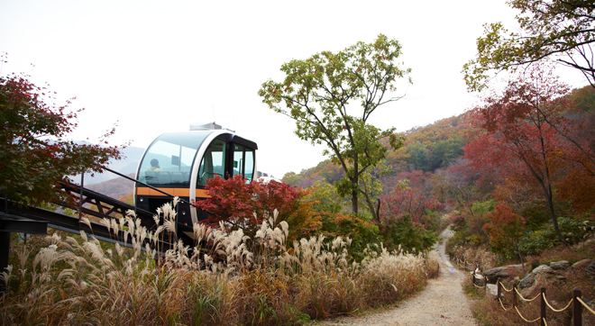 This is the convenient transportation to enjoy beautiful Hwa Dam Botanic Garden