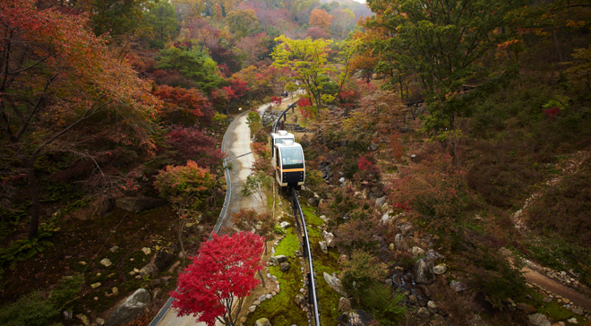 Want to walk into this beautiful autumn forest with my beloved one