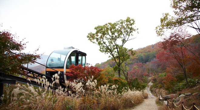 This is the convenient transportation to enjoy beautiful Hwa Dam Botanic Garden