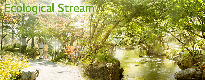 Ecological Stream