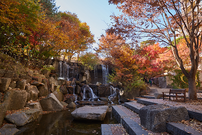 400여 품종의 단풍이 절정으로 흐르는 곤지암의 가을 - 확대보기