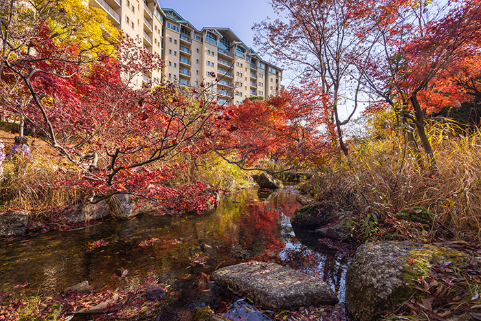다채로운 가을빛이 아름다운 생태하천 - 확대보기