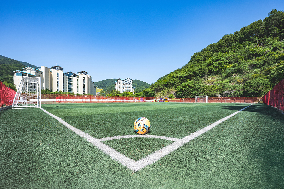 푸른 잔디 위에서 열리는 작은 월드컵!