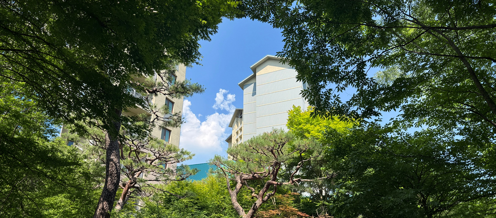 곤지암리조트 풍경 이미지2
