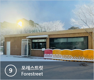 ⑨포레스트릿 Forestreet